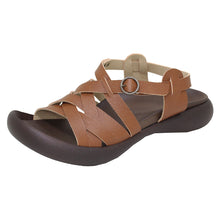 画像をギャラリービューアに読み込む, CJFD5368