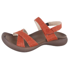 画像をギャラリービューアに読み込む, CJFD5319 CJFD5359