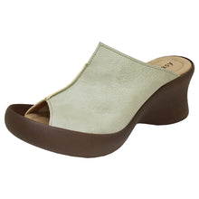 画像をギャラリービューアに読み込む, CJFH808