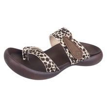 画像をギャラリービューアに読み込む, CJFD5350