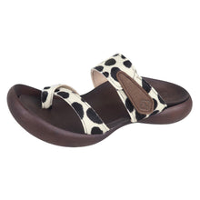 画像をギャラリービューアに読み込む, CJFD5350