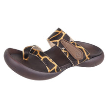 画像をギャラリービューアに読み込む, CJFD5350