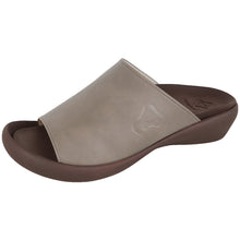 画像をギャラリービューアに読み込む, CJFW3500