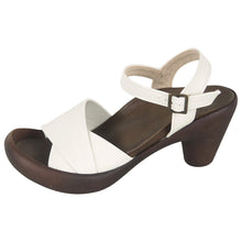 画像をギャラリービューアに読み込む, CJBN5735