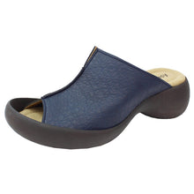 画像をギャラリービューアに読み込む, CJLE504 CJLE505