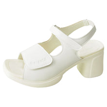 画像をギャラリービューアに読み込む, RW0002/RW1002