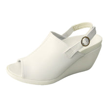 画像をギャラリービューアに読み込む, RW0004 / RW1004