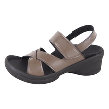 画像をギャラリービューアに読み込む, R2682 R2684 R2685