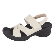 画像をギャラリービューアに読み込む, R2682 R2684 R2685