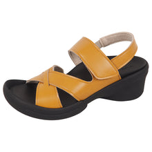 画像をギャラリービューアに読み込む, R2682 R2684 R2685