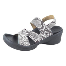 画像をギャラリービューアに読み込む, R2682 R2684 R2685