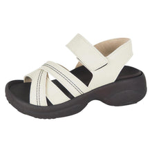 画像をギャラリービューアに読み込む, RP101