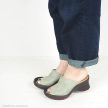 画像をギャラリービューアに読み込む, CJFH808