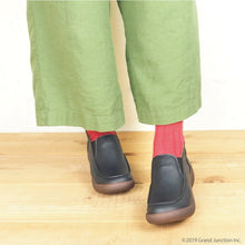 画像をギャラリービューアに読み込む, CJAW4301/CJAW4307