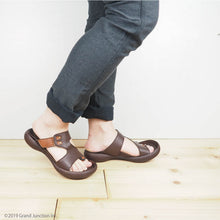 画像をギャラリービューアに読み込む, CJFD5345