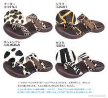 画像をギャラリービューアに読み込む, CJFD5350