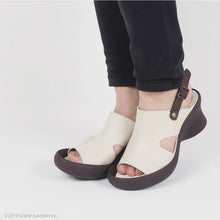 画像をギャラリービューアに読み込む, CJFH801