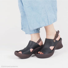 画像をギャラリービューアに読み込む, CJFH801