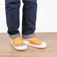 画像をギャラリービューアに読み込む, CJEW7602