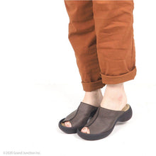 画像をギャラリービューアに読み込む, CJLE504 CJLE505