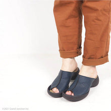 画像をギャラリービューアに読み込む, CJLE504 CJLE505