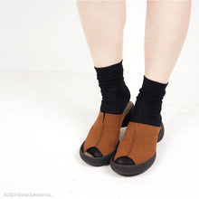 画像をギャラリービューアに読み込む, CJLE504 CJLE505