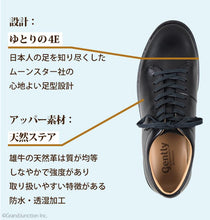 画像をギャラリービューアに読み込む, GE102