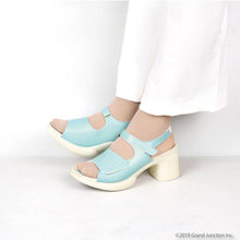 画像をギャラリービューアに読み込む, RW0002/RW1002