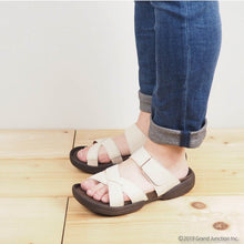 画像をギャラリービューアに読み込む, R226M