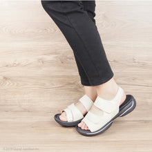 画像をギャラリービューアに読み込む, JPR011