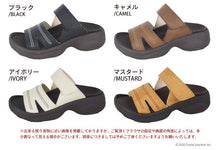 画像をギャラリービューアに読み込む, RP100