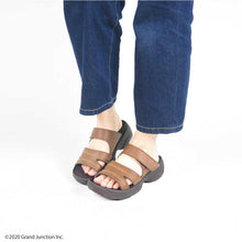 画像をギャラリービューアに読み込む, RP100