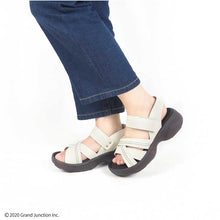 画像をギャラリービューアに読み込む, RP101