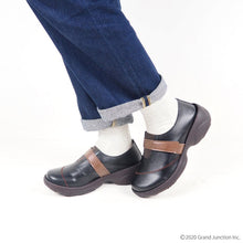 画像をギャラリービューアに読み込む, RP1001