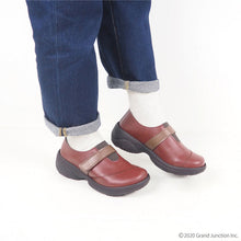 画像をギャラリービューアに読み込む, RP1001